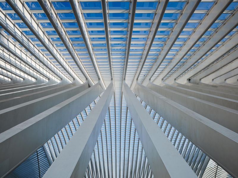  TGV Station Liege Guillemins, Santiago Calatrava, Liege, Belgium