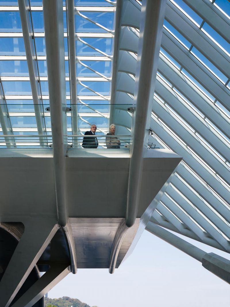  TGV Station Liege Guillemins, Santiago Calatrava, Liege, Belgium